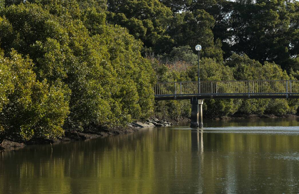 AND NOW: The same area along Throsby Creek today, with the banks thick with mangroves. 