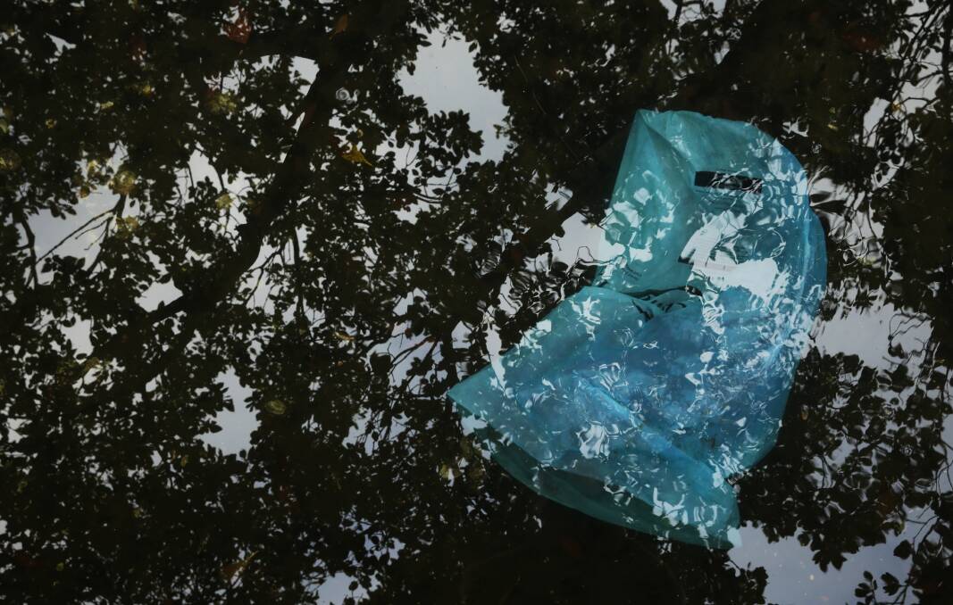 A shopping bag amid the reflections of mangroves in the water near Carrington. Picture: Simone De Peak