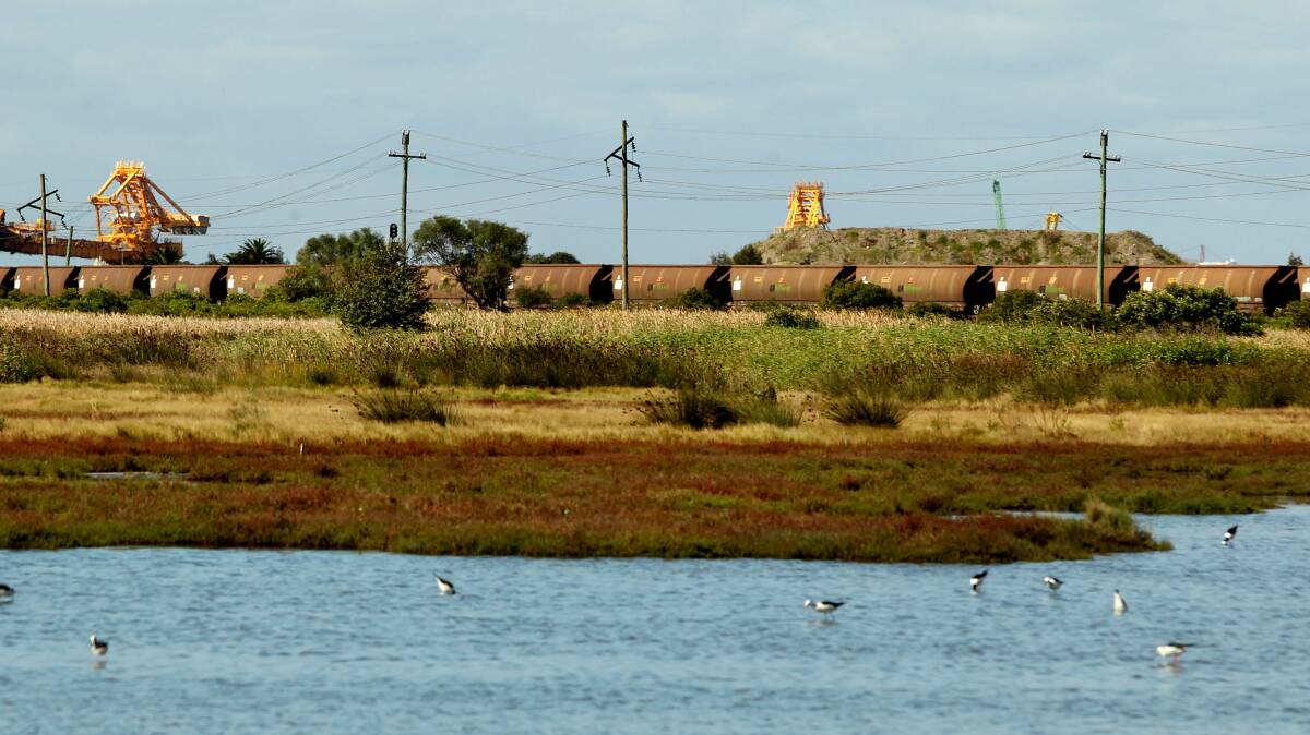 A train and coal loaders in the distance, with ponds cradling birds. Picture: Simone De Peak