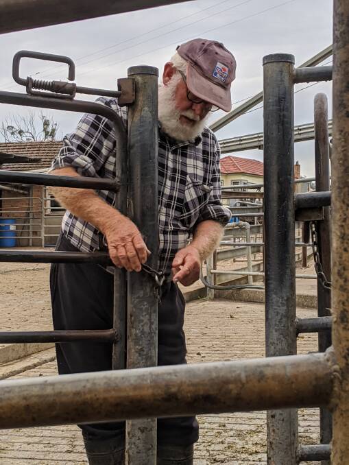 Keith "Bluey" Watkins shuts the gate for the final time at his dairy. Picture: Courtesy, Ros Runciman, Yeranda holiday cottages