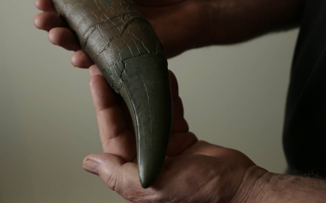 Mike Dawson holds a cast replica of a T-rex's tooth. Picture: Simone De Peak