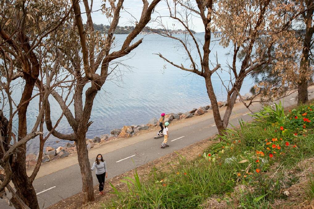 Lake Macquarie City Council's Manager Environmental Systems Karen Partington at the poisoned trees along the Warners Bay-Speers point pathway. Picture: Lake Macquarie City Council