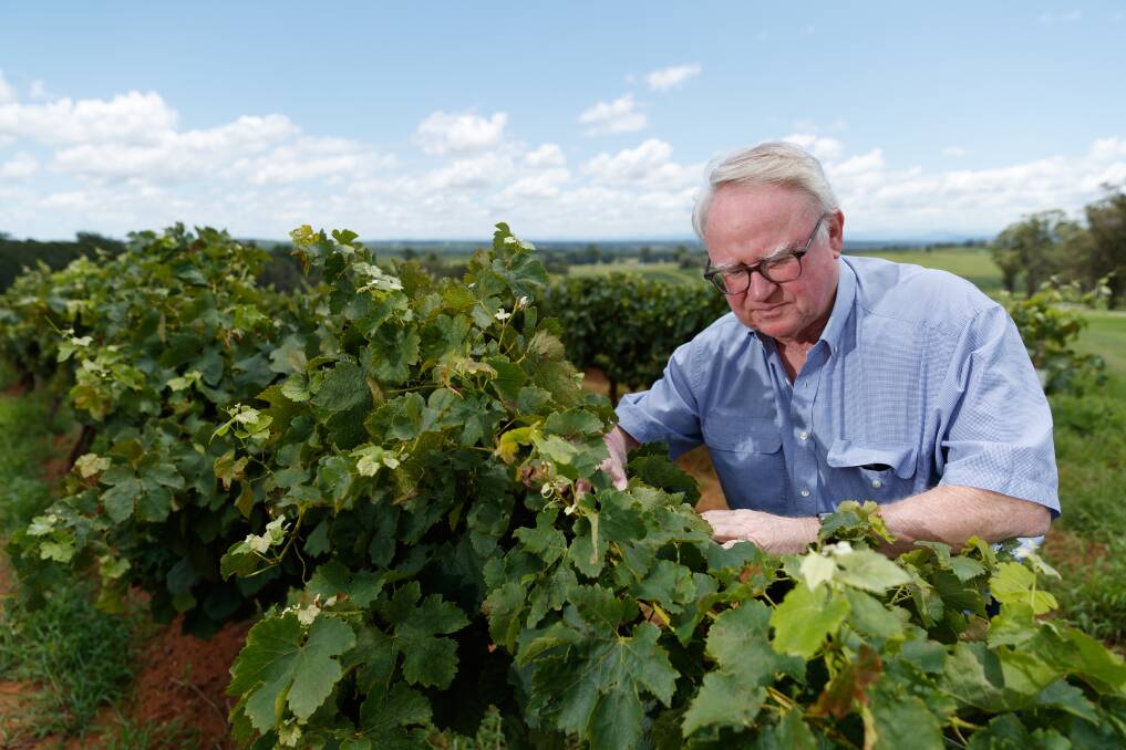 VINE VISITOR NUMBERS WITHERING: Bruce Tyrrell has closed the cellar door at his family's historic winery during this latest lockdown. 