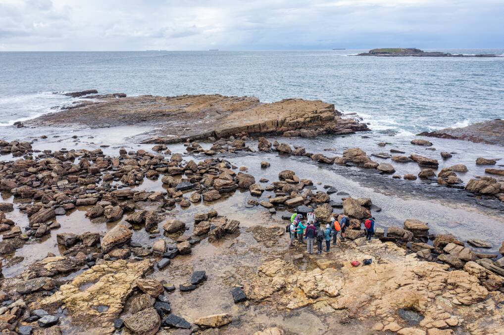 Looking for fossils at Swansea Heads. Picture: Neil Keene, Lake Macquarie City Council