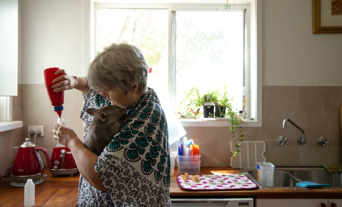 Judith Hopper in her kitchen, preparing formula, as she holds Bill'san the wombat. Picture: Marina Neil