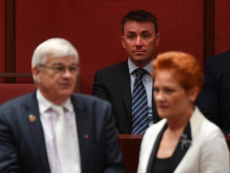 James Ashby says he was trying to take pictures of Pauline Hanson when Brian Burston 'attacked him'.