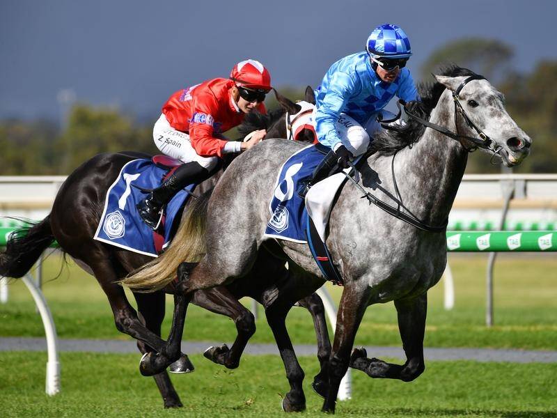 Shrouded In Mist has caught trainer Tony McEvoy by surprise in the Queen Of The South Stakes.