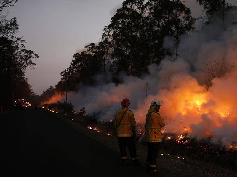 Rain could offer some respite to NSW firefighters working to contain bush and grass fires.