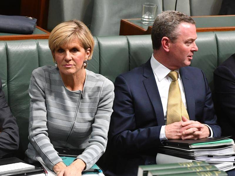 A Senate inquiry will look into new jobs of ex-cabinet ministers Julie Bishop and Christopher Pyne.