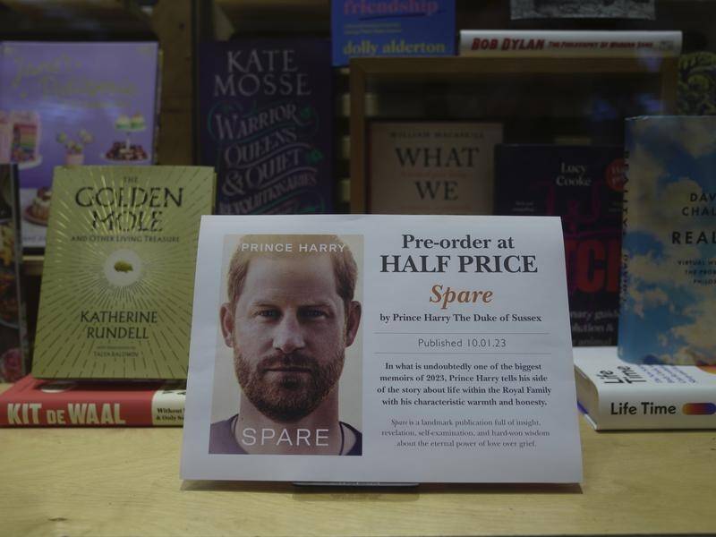 Prince Harry alleges in a book that Prince William lashed out and physically attacked him. (AP PHOTO)