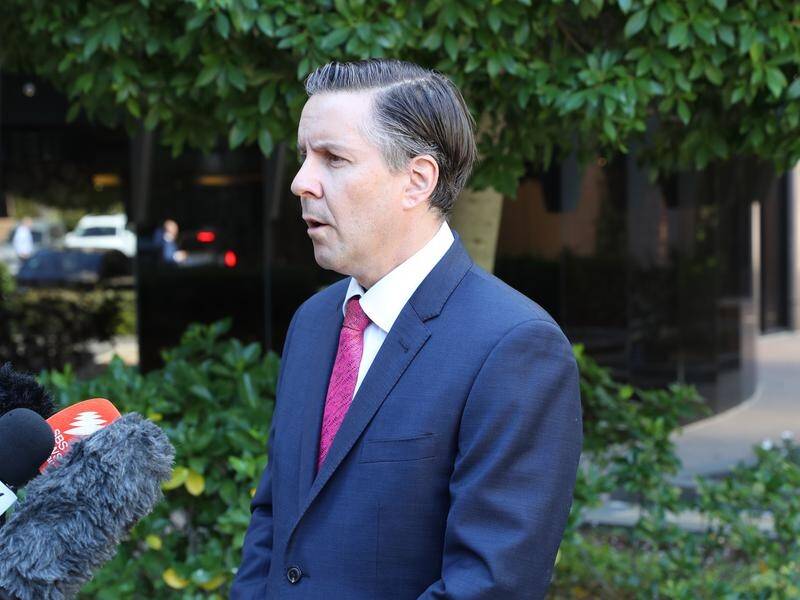 Labor energy spokesman Mark Butler has slammed moves by the government to look into nuclear power.