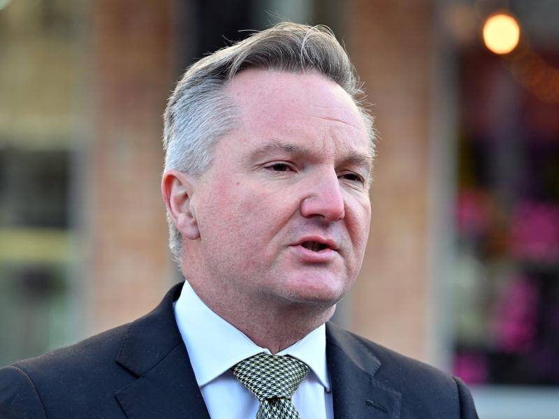 Energy Minister Chris Bowen said there was abundant interest in NSW renewable projects. (Mick Tsikas/AAP PHOTOS)