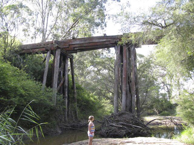 LOST RELIC: The Surveyor’s Creek timber bridge hidden on the old railway line.