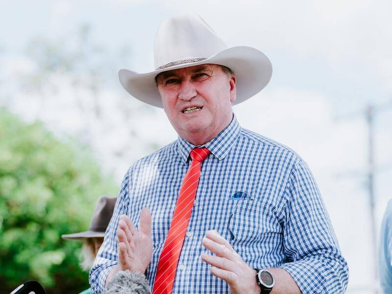 Barnaby Joyce backed an LNP candidate who talked down the government's net zero emissions target.