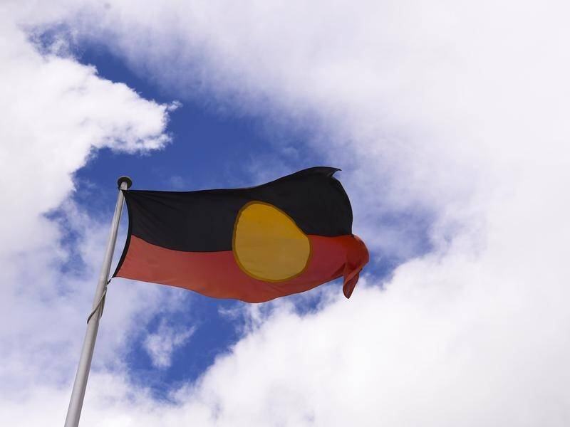 Survivors of the Stolen Generation told the NSW parliament they believe the practise continues.