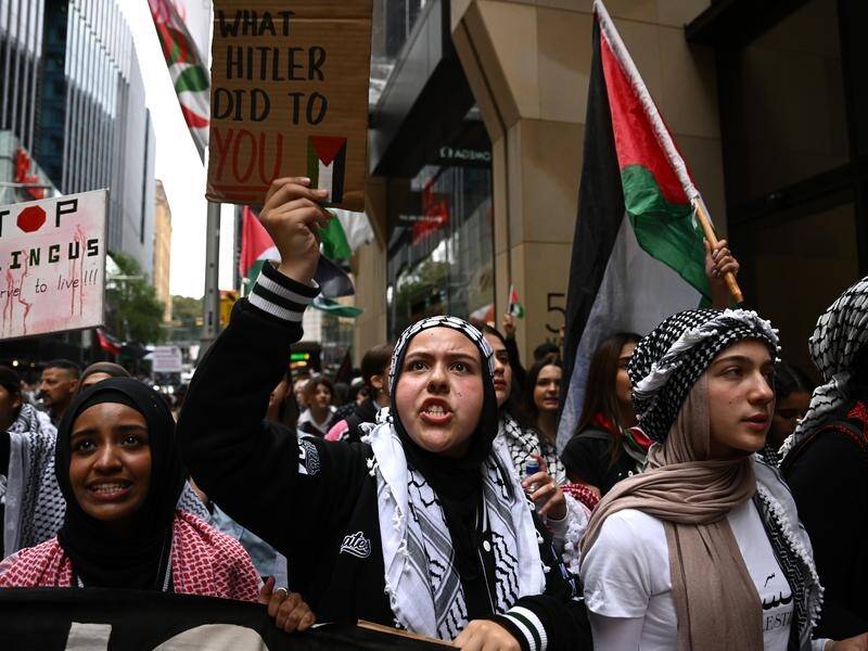 Students carried banners, placards and flags as they marched in support of Palestine in Sydney. (Dan Himbrechts/AAP PHOTOS)