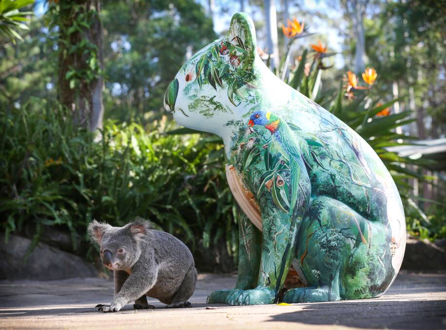  Stoney the Koala with Bruce Whittaker painted Hello Koala, at Billabong Zoo. Pic: Lindsay Moller Hello Koala program, Port Macquarie, NSW