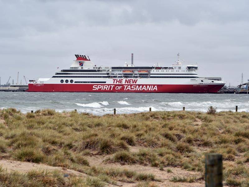 Sixteen polo ponies were found dead after a trip on the Spirit of Tasmania in 2018. (Julian Smith/AAP PHOTOS)