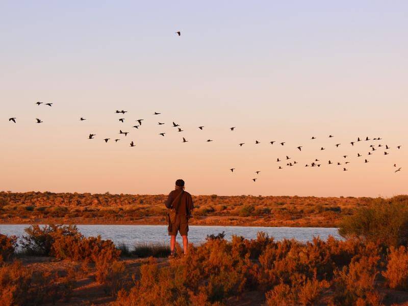 SA's Munga-Thirri-Simpson Desert Regional Reserve and Conservation Park is to get an upgrade.