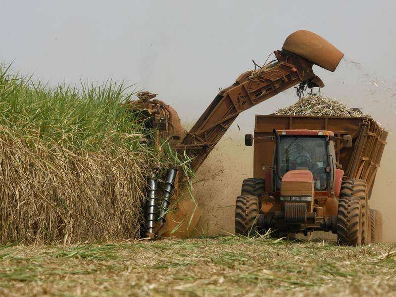 India was accused of providing excessive support and export subsidies for sugar and sugarcane.