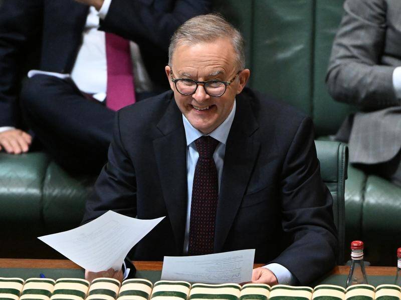 Anthony Albanese has welcomed the passage of new carbon emissions targets through the lower house. (Mick Tsikas/AAP PHOTOS)