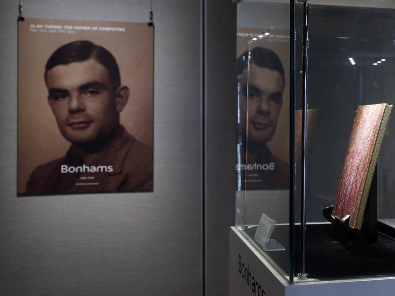 Alan Turing has been named the 20th century's the most "iconic" figure in a vote on a BBC Two show.