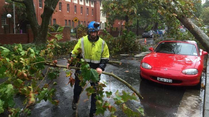 SES workers clean up trees that came down on Bourke Street in Surry Hills. Photo: Peter Rae