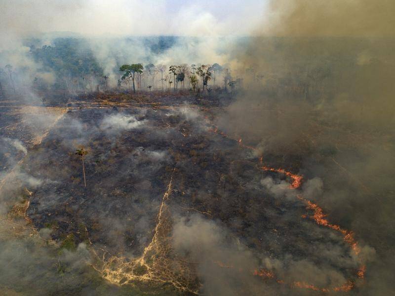 Destruction of the Amazon rose 9.5 per cent to 11,088 sq km in 2020, Brazilian data shows.
