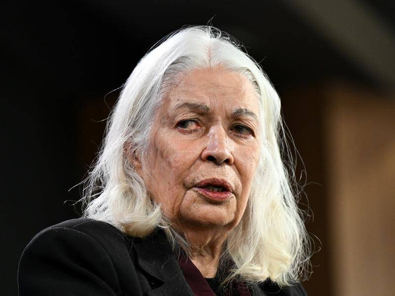 Marcia Langton says some of the claims made by the voice 'no' campaign don't stack up to scrutiny. (Lukas Coch/AAP PHOTOS)