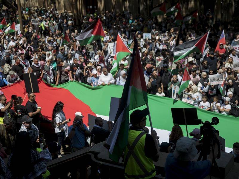 Pro-Palestine supporters have again taken to the streets of Sydney. (Brent Lewin/AAP PHOTOS)