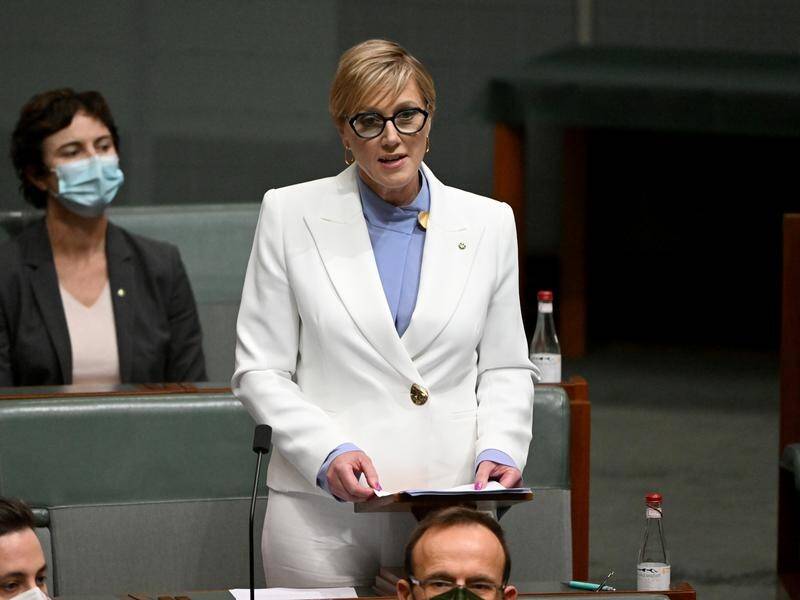 Independent Zoe Daniel has used her first speech in parliament to call for action on climate change. (Mick Tsikas/AAP PHOTOS)