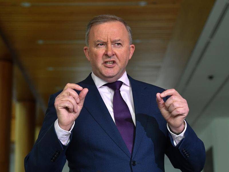 Anthony Albanese wanted five weeks of sittings scheduled for May and June to stay on the books.