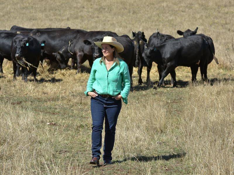Australian farmers will receive some clear guidance on climate change and carbon markets. (Jeremy Bannister/AAP PHOTOS)
