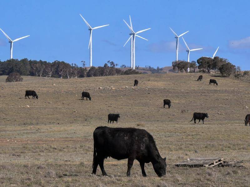 A Flinders University study reveals wind farms have a subtle effect on our sleep.