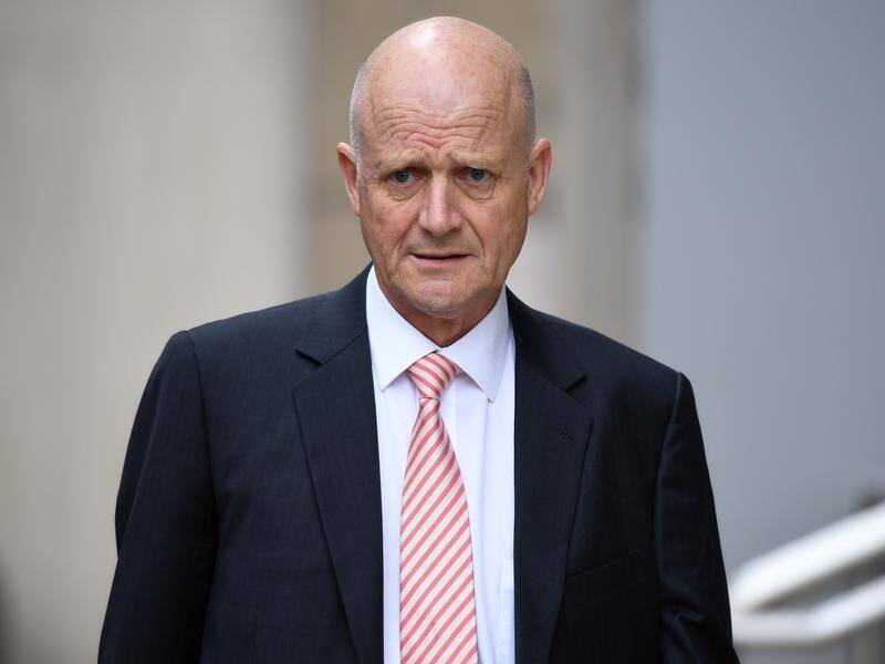 David Leyonhjelm is appealing against a court finding he defamed Senator Hanson-Young.