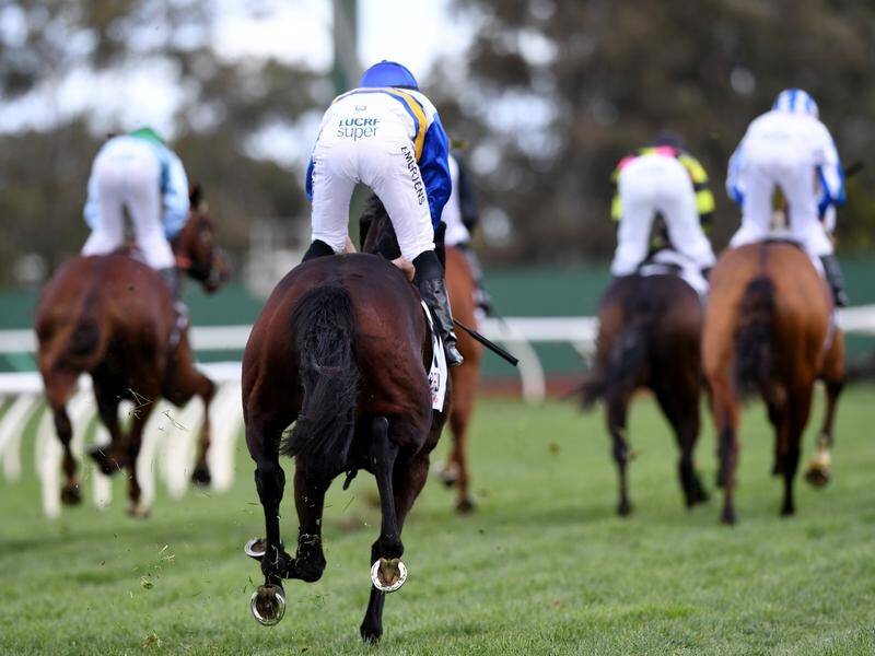 Racing Victoria staff and participants such as jockeys will need to be fully vaccinated by November.