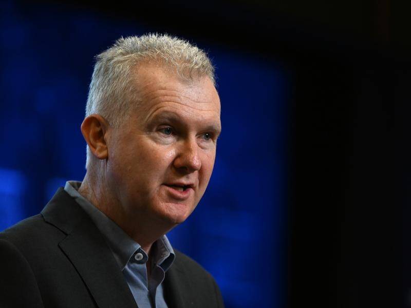 Wages will go up despite inflationary pressures on budgets after recent rate rises, says Tony Burke. (Mick Tsikas/AAP PHOTOS)