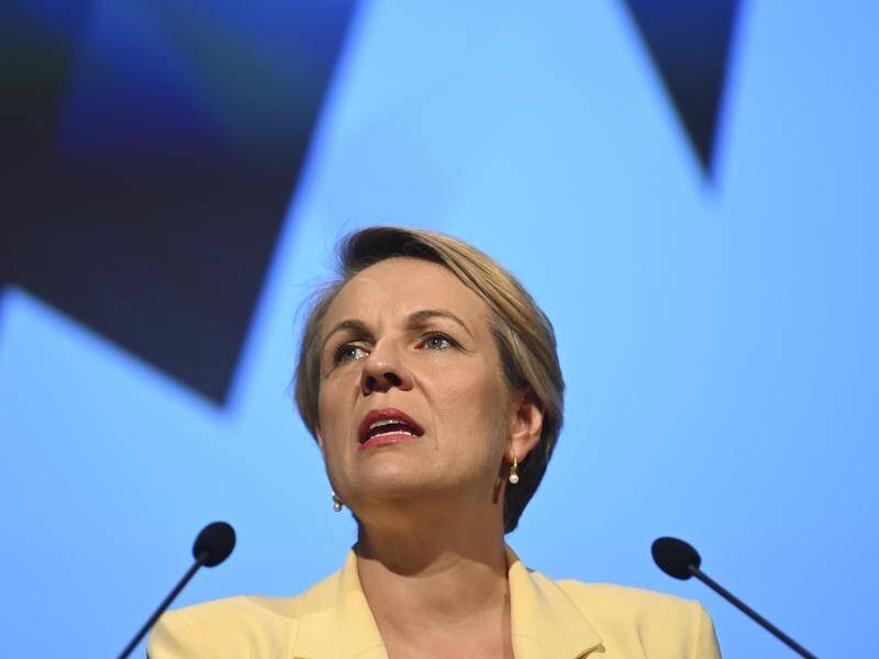 Tanya Plibersek says women should be able to access abortion services when they need them.