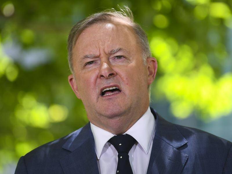 Anthony Albanese: The idea of exploration for oil and gas just off the coast is a disaster.
