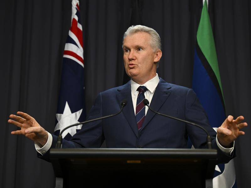 New laws will offer people greater flexibility in escaping domestic violence, Tony Burke says. (Lukas Coch/AAP PHOTOS)