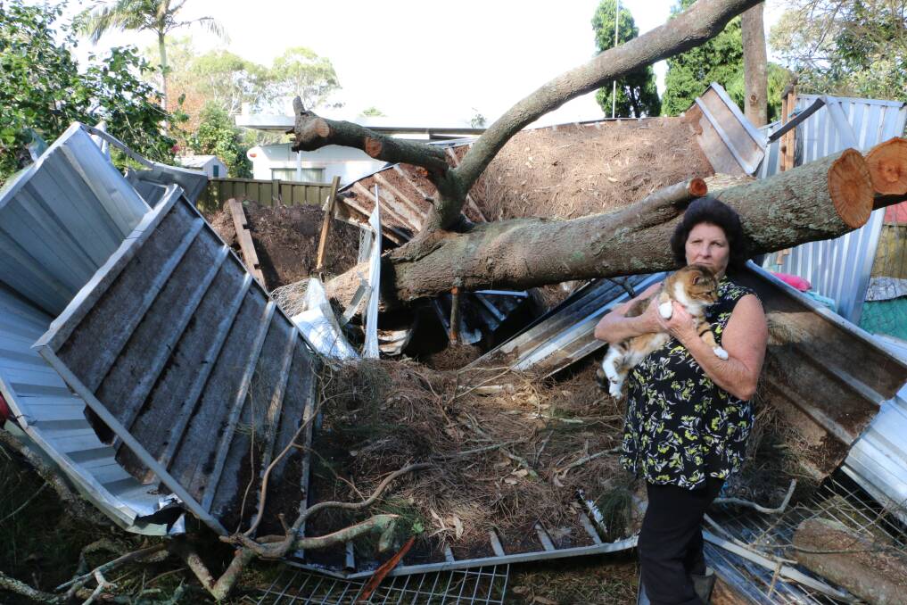 REBUILDING: A campaign has been launched to help Joanne Hawken, pictured here amid the storm destruction at her cat refuge. Picture: Jamieson Murphy