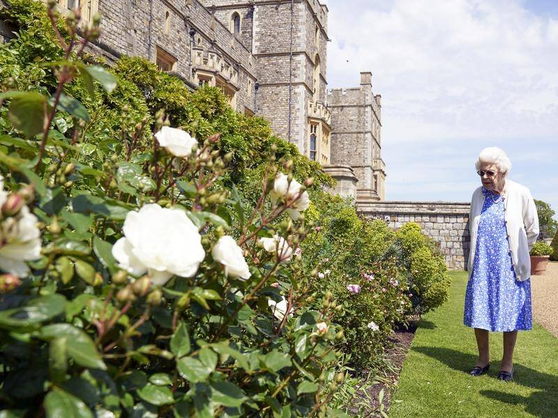The new rose has been planted at Windsor Castle, where the Queen spent most of her life with Philip.