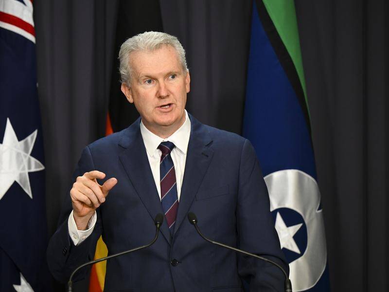 "At the moment, we don't have high wage growth." Employment Minister Tony Burke says.