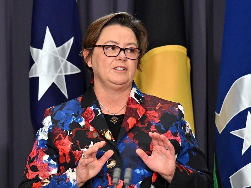 Resources Minister Madeleine King says the new measures will safeguard Australia's energy supplies. (Mick Tsikas/AAP PHOTOS)