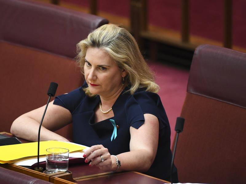 Liberal senator Hollie Hughes was on the receiving end of a comment from Greens senator Lidia Thorpe