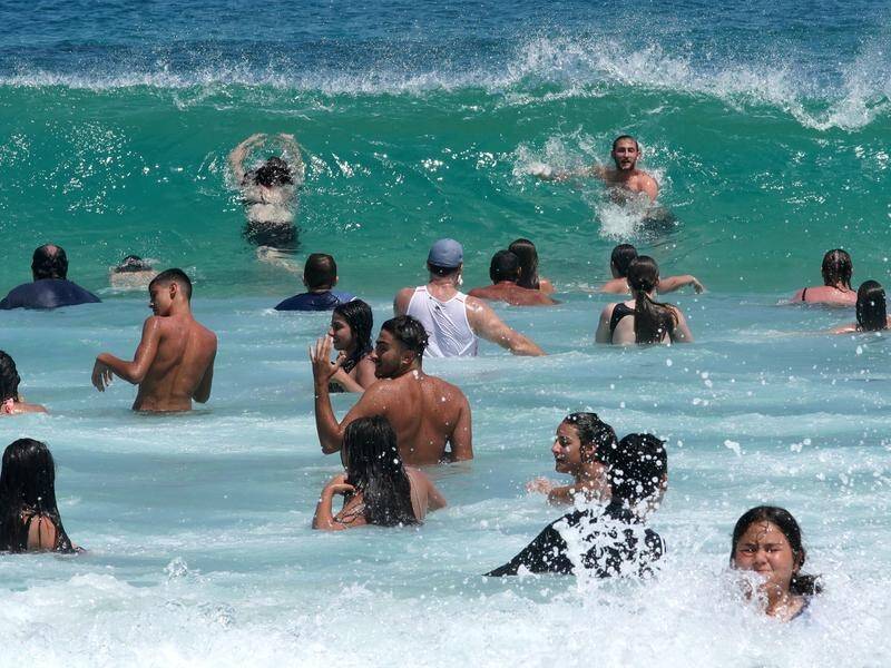 Heatwaves are worsening and are already Australia's deadliest natural disaster, a study has found. (Ben Rushton/AAP PHOTOS)
