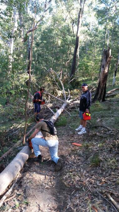 CLEAN-UP: Hunter Mountain Bike Association members clear the Awaba Mountain Bike Track after superstorms.