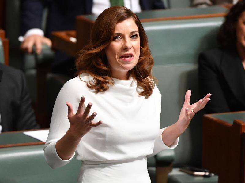 New Labor MP Anika Wells has taken aim at one of Prime Minister Scott Morrison's catchphrases.