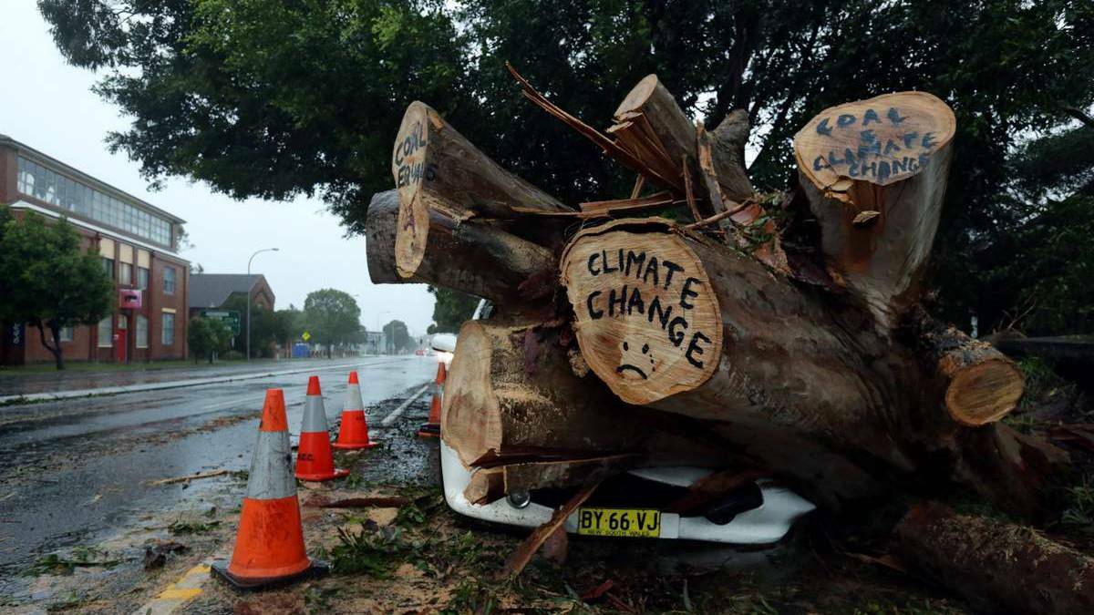 In Parry St Newcastle West, a car is squashed under a fallen tree on which someone has written the words "Climate change" and drawn an unhappy face on one branch, and "Coal = climate change" on another. Picture Simone De Peak
