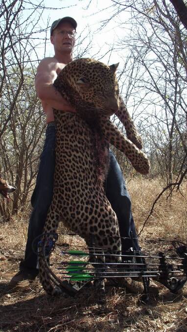 Walter Palmer, above, with a leopard taken during a hunt in Zimbabwe, from the blogger site Trophy Hunter America. 